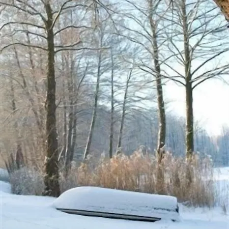 호텔 Seehotel Muehlenhaus 3*