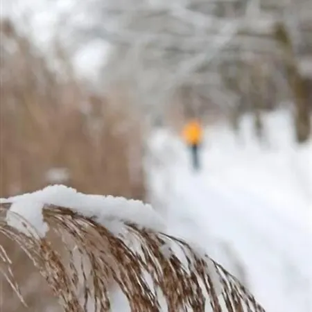 Seehotel Muehlenhaus 호텔 3*