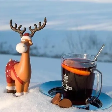 Seehotel Muehlenhaus 酒店