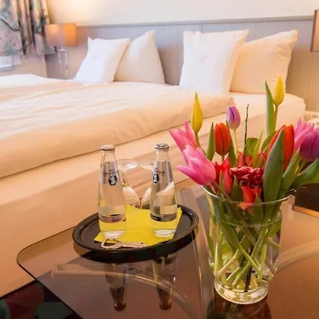 Seehotel Muehlenhaus 호텔