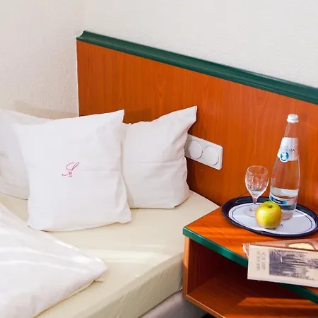 Seehotel Muehlenhaus 酒店 3*