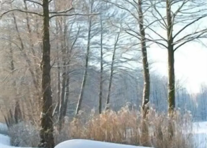 Hotell Seehotel Muehlenhaus 3*