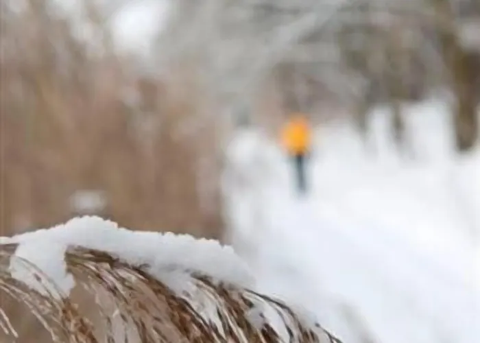 Seehotel Muehlenhaus Hotell 3*