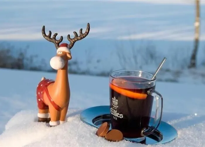 Seehotel Muehlenhaus Hotell